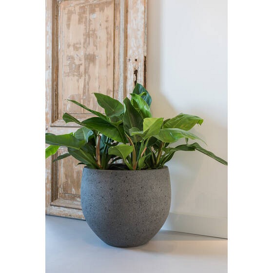 Pottery Pots plantenbak Mini Orb M Diorite Grey (øxh) 25x21 cm. ~