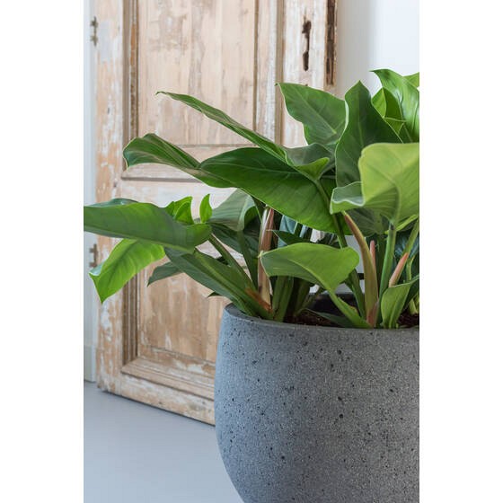Pottery Pots plantenbak Mini Orb M Diorite Grey (øxh) 25x21 cm. ~