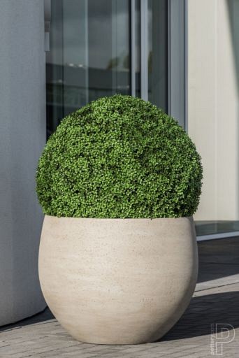 Pottery Pots plantenbak Orb M Grey Washed ø48x43 cm ~