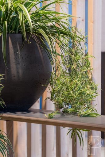 Pottery Pots plantenbak Orb M Black Washed (øxh) 48x43 cm. ~
