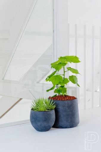 Pottery Pots plantenbak Orb L Black ø68.5x57 cm ~
