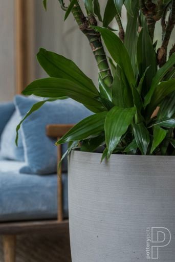 Pottery Pots plantenbak Ben L Grey hoogte: 55 diameter: 40~