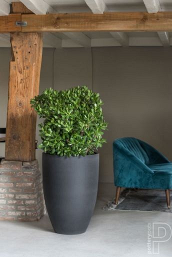 Pottery Pots plantenbak Ben L Black hoogte: 55 diameter: 40~