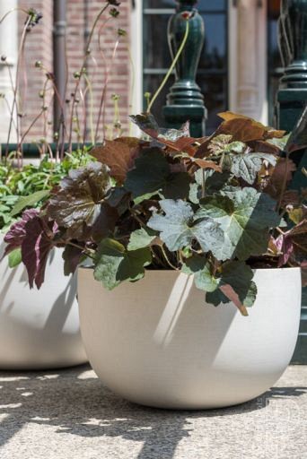 Pottery Pots plantenbak Sunny L Matte White ø45x27 cm ~