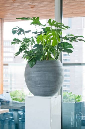 Pottery Pots plantenbak Abby S Horizontal Ridged Grey hoogte: 20 diameter: 23~