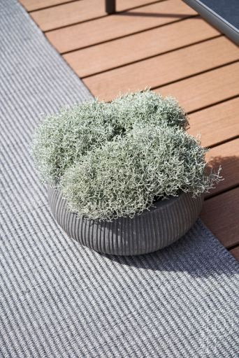 Pottery Pots plantenbak Eileen XL Ridged Grey hoogte: 14 diameter: 36~
