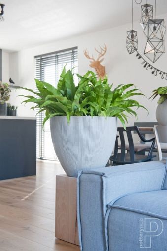 Pottery Pots plantenbak Jesslyn XS Light Grey hoogte: 345 diameter: 415~