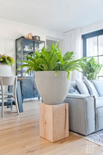 Pottery Pots plantenbak Jesslyn XS Light Grey hoogte: 345 diameter: 415~