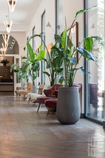 Pottery Pots plantenbak Patt High S Ridged Grey hoogte: 43 diameter: 29~