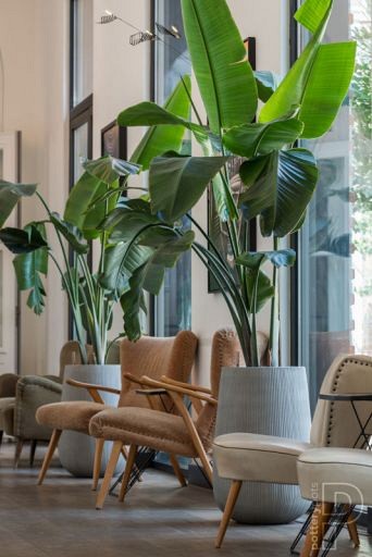 Pottery Pots plantenbak Patt High M Ridged Grey hoogte: 66 diameter: 44~