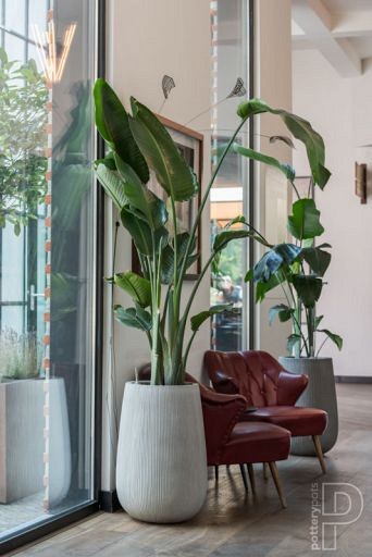 Pottery Pots plantenbak Patt High M Ridged Cement hoogte: 66 diameter: 44~