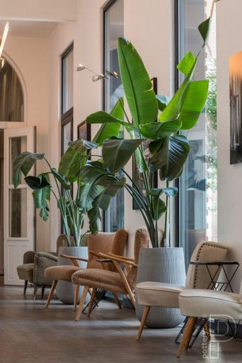 Pottery Pots plantenbak Patt High M Ridged Cement hoogte: 66 diameter: 44~