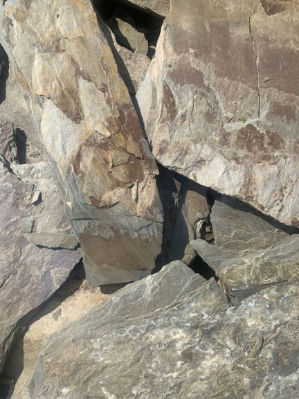 Multicolor flagstones 1,5-4 cm. ~