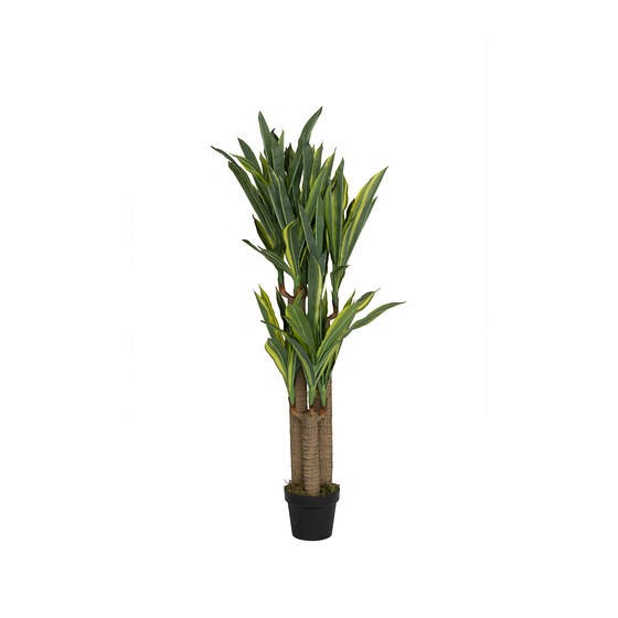 Pottery Pots kunstplant Dracena M Green H=145 cm.