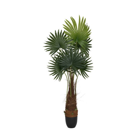 Pottery Pots plantenbak Palm tree M Green ~