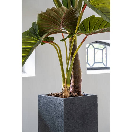 Pottery Pots plantenbak Bouvy L Midnight Black ~