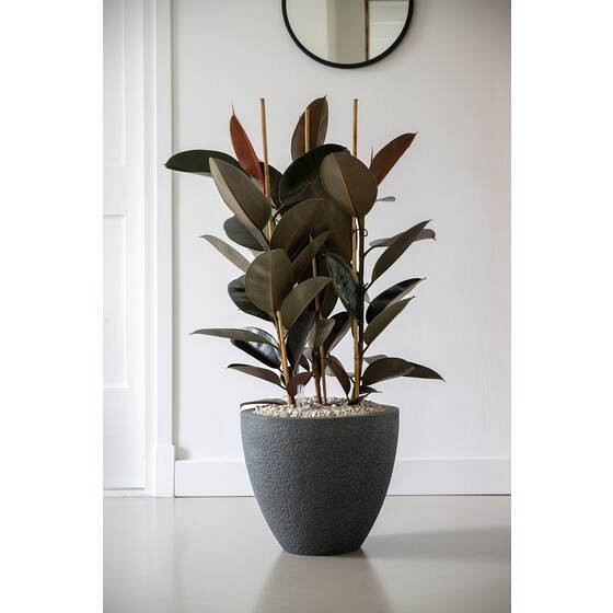 Pottery Pots plantenbak Jesslyn XS Midnight Black ~