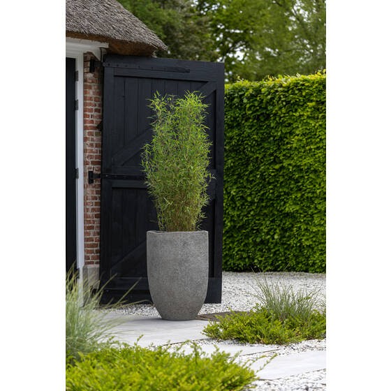 Pottery Pots plantenbak Mt. Hayes L ~