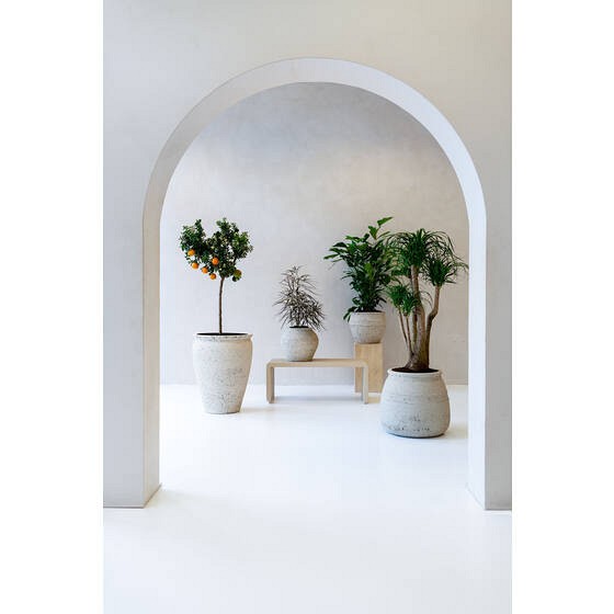 Pottery Pots plantenbak Artemis L Chalk White ~