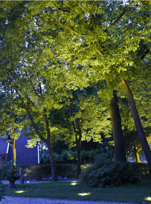 In-Lite Big Nero Charcoal Ø123 mm. 12V/7,5W LED (met Motion) ~