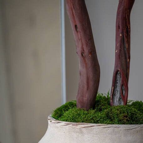 Pottery Pots plantenbak Toma L Wabi Beige (øxh) 63x91 cm. ~