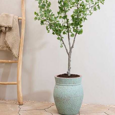 Pottery Pots plantenbak Apollo S Rustic Green (øxh) 38x47 cm. ~