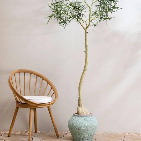 Pottery Pots plantenbak Zeus S Rustic Green (øxh) 37x32 cm. ~
