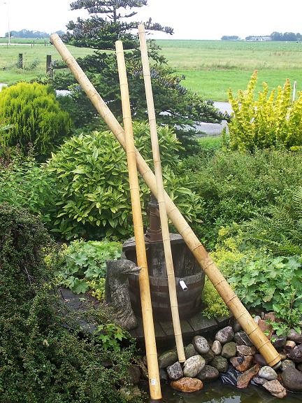 Bamboepalen voor decoratie 4/5x240 cm ~