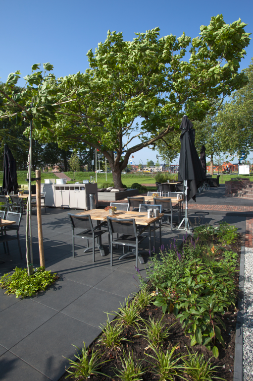 Florida Oxford 60x60x4 cm. MF ~