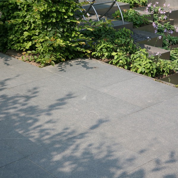 Orient Verde Black gevlamd + facet 80x80x3 cm. ~