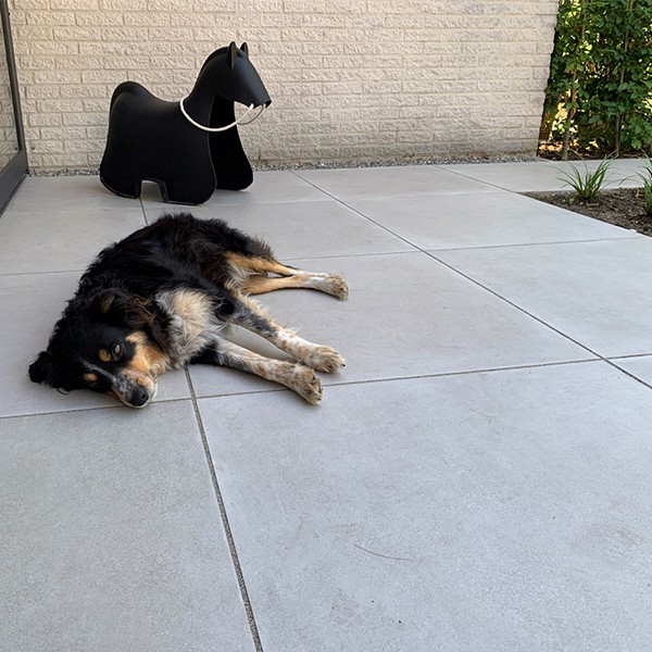 Lincoln Schafwiesen 80x80x2 cm. ~