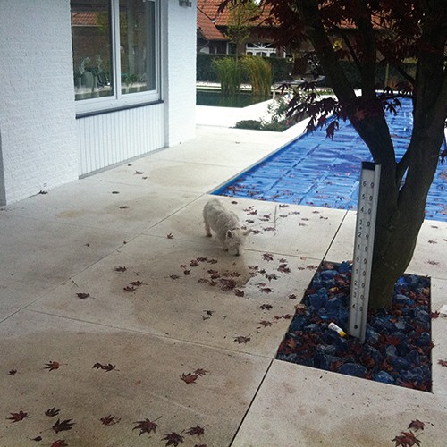 Varistone Keramiek Tegelreiniger flacon 1 kg.~