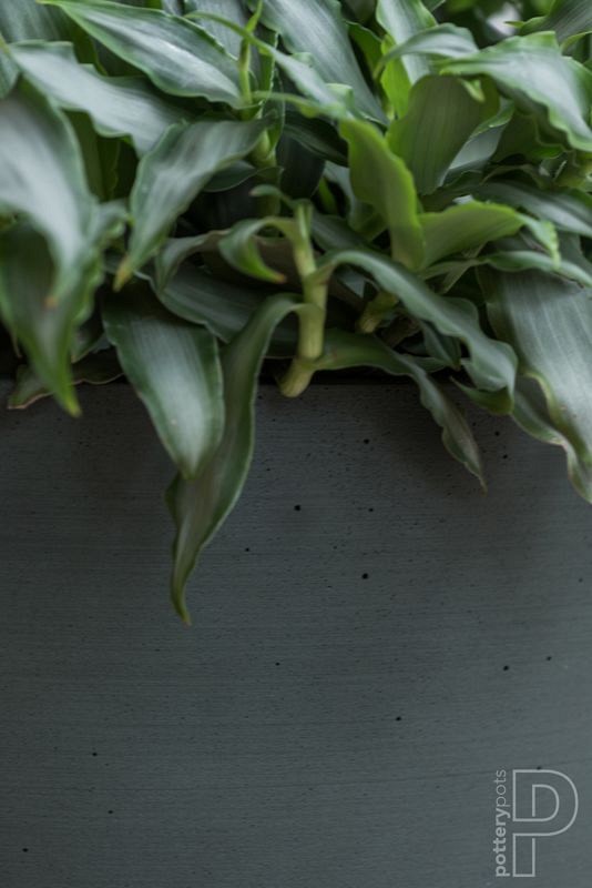 Pottery Pots plantenbak Bucket S Pine Green ø50x40 cm ~