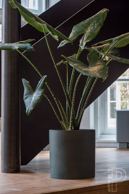 Pottery Pots plantenbak Max S Pine Green ø29x29.5 cm ~