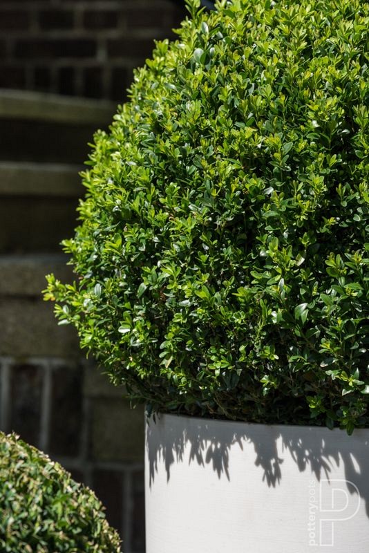 Pottery Pots plantenbak Max S Natural White ø29x29.5 cm ~