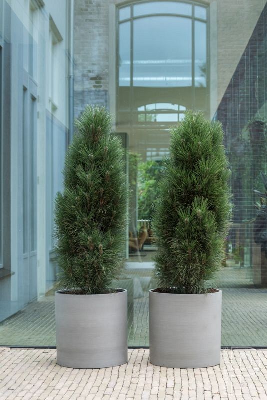 Pottery Pots plantenbak Max S Clouded Grey ø29x29.5 cm ~