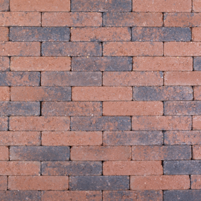 Actionline Aardmonnik 20x5x7 cm. ~